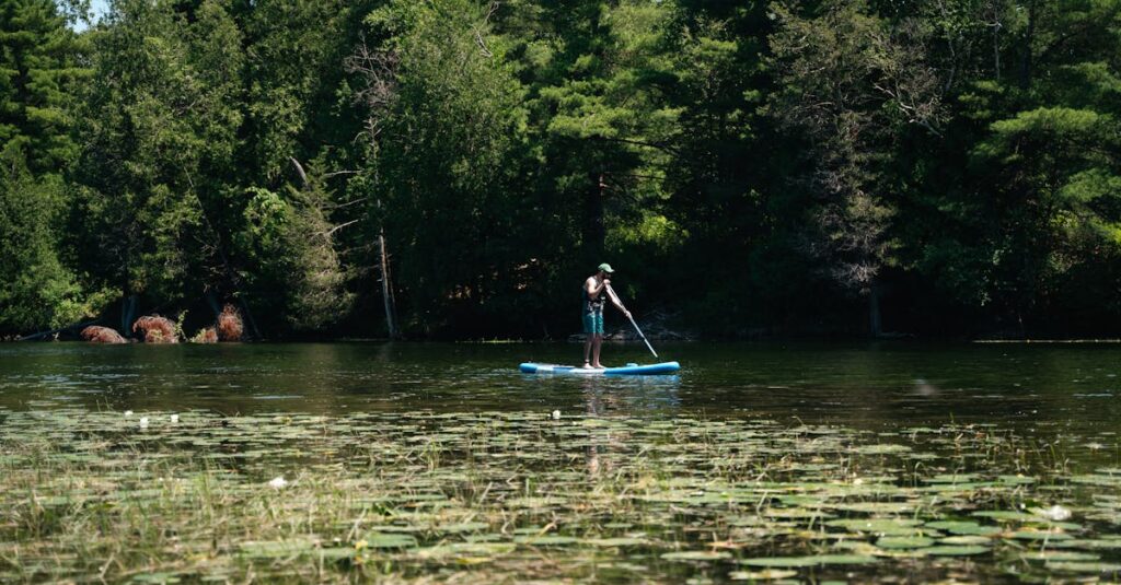 Mindfulness Retreat Near Me