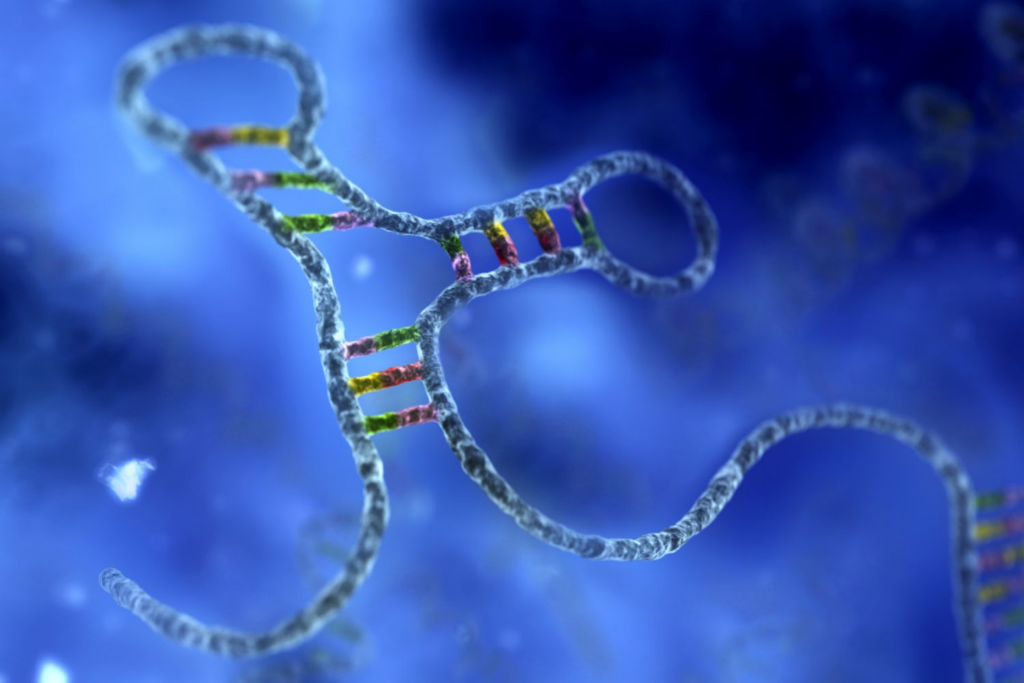 rna sequencing, genome activity analysis, rna sequencing health research, transcriptomics advancements, rna sequencing benefits, gene expression profiling, health research genomics, genome activity reading, rna analysis techniques, personalized medicine genomics